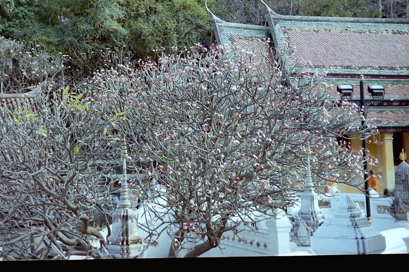 Thailand 2001-EX280.JPG